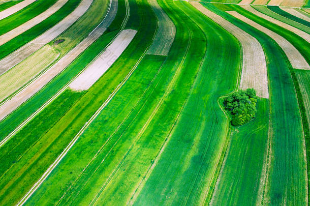 波兰从上而下从空中俯瞰绿色农田和村庄.波兰田野的风景。典型的抛光景观.