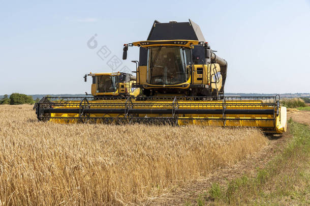 切尔滕纳姆，格洛斯特郡，英格兰，2019年7月。联合收割机收获冬季大麦，干燥后将去酿造啤酒.