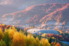 与美丽的落叶森林山区的秋季景观。在早晨的晴朗天气。喀尔巴阡，乌克兰，欧洲