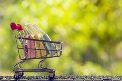 网上购物，电子商务的概念：纸袋在推车或购物车的自然绿色背景。在网上购买商品可以从国外购买商品