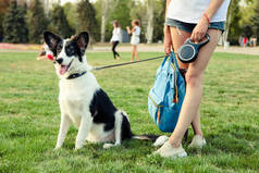 女孩带着狗在公园里散步.