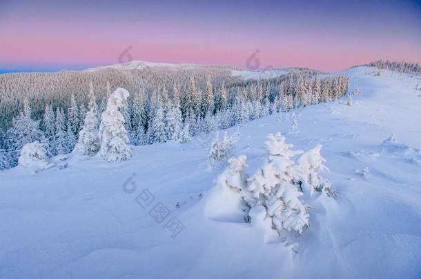 神秘的冬季风景,冬天雄伟的群山. 神奇的冬雪覆盖了树木. 山中的冬季道路。 为了迎接假期。 戏剧化的冬季场景。 喀尔巴阡山 乌克兰.