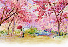 粉红红色的野生喜马拉雅樱桃, 路边在早晨与男人和女人旅行, 美丽的背景, 手绘, 美丽的自然春天在泰国的季节。画水彩画与快乐, 情人节.   