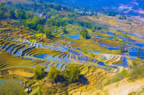 云南元阳梯田背景