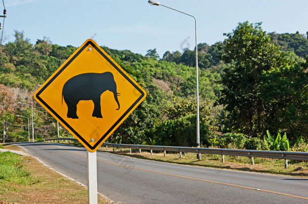 大象道路标志