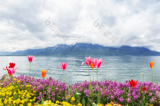 湖、 蒙特勒附近的鲜花。瑞士