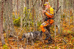 猎人和他的猎狗在野外野外