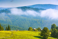 高山山村在春天的草地上.美丽的田园风光。喀尔巴阡山脉、乌克兰、欧洲