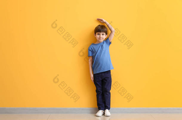 可爱的小男孩测量高度接近彩色墙