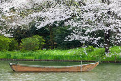 船在河在春暖花开的季节