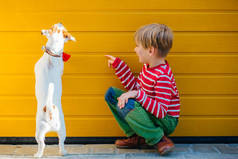 一个年轻的快乐男孩坐在地上，和他那张大嘴的狗杰克 · 罗素 · 泰里尔在户外的黄色背景上玩耍的画像。 友谊奉献感概念.