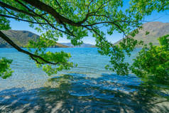 格伦德湖湾柳树摊铺下风景如画的瓦纳卡湖场景