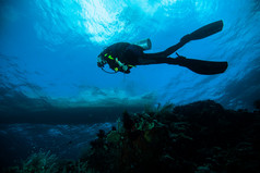 水肺潜水的潜水员女人海水下珊瑚印度尼西亚巴厘岛的女孩