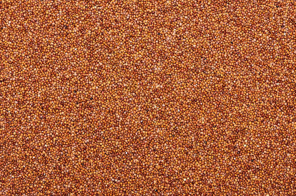 生有机红藜麦的顶视图