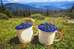 爬山, 暑假。两杯蓝莓的背景下的阳光山草和丘陵。乌克兰 Dragobrat 收集的有机天然产品 