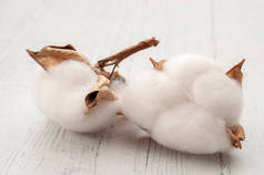 白木背景下分离棉厂的原料和纺织纤维生产概念