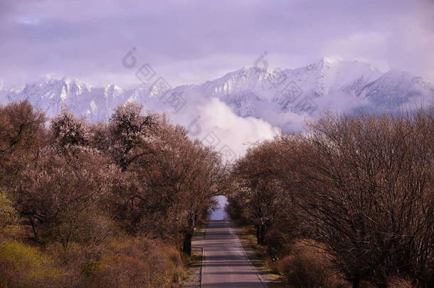 以高山为背景的美丽风景