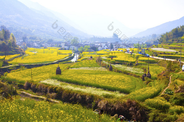 在婺源，江西省，中国的农村风景.