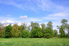 德国巴伐利亚湿地上的浪漫平坦的风景，春天里绿油油的草地和树木映衬着蓝天