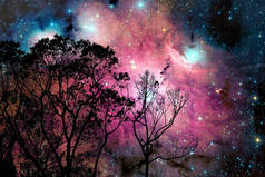 模糊星系星云回到夜空天空的树上