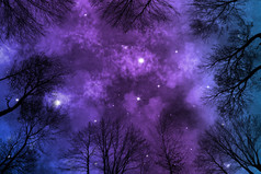 低角度的明亮多彩星云上布满星星的夜空，查看槽树