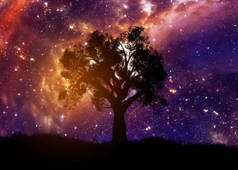 星空上孤树