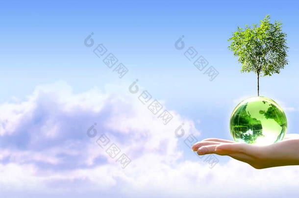 世界地球日卡片。植树，臭氧日的概念。保护环境，拯救和保护绿色地球和生态。云天背景下的地球水晶球和生长中的树.