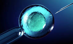 3d. 卵细胞、卵子或受精卵的人工授精或体外受精的渲染
