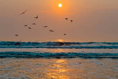 风景秀丽的海景,夕阳西下的大海.宁静的风景，美丽的阳光映照，成群的鸟儿