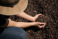 农场主在农场里拿着干咖啡豆，背景是烤咖啡豆