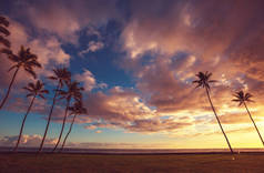 令人惊叹的夏威夷海滩美丽的自然景观 