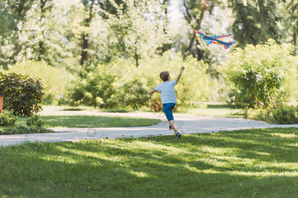 在公园里玩五颜六色的<strong>风筝</strong>的可爱的小男孩的后面看法