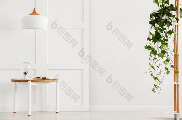 <strong>现代白色</strong>走廊，配有简单的桌子和灯