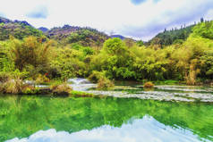 风景风景牧草风景