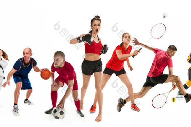 运动拼贴画关于跆拳道, 足球, 美式足球, 篮球, 冰球, 羽毛球, 跆拳道, 网球, 橄榄球