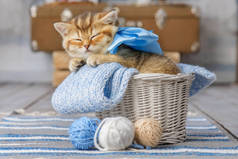 小猫咪带着纱球睡在篮子里