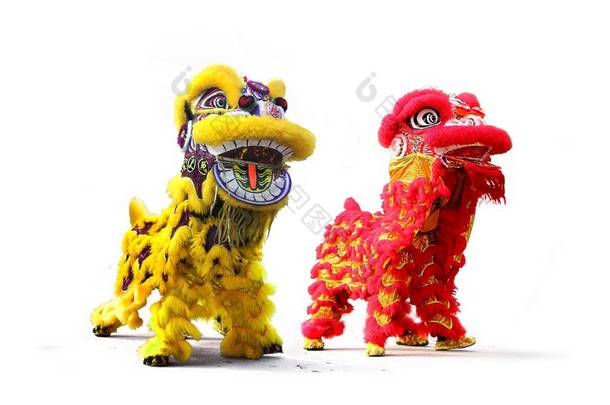 白色背景下的中国新年舞狮庆祝活动