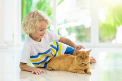 孩子在家喂猫。孩子和宠物。金发碧眼的小男孩在窗边的白色厨房里和小猫玩耍。家养动物和儿童宠物。猫的食物和饮料。孩子们喂猫. 
