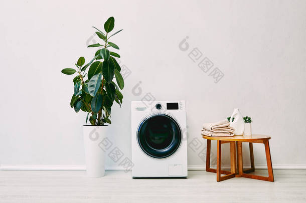 靠近现代洗衣机的<strong>绿色植物</strong>，浴室里有带毛巾和洗涤剂瓶子的咖啡桌 