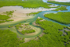 Saloum Delta国家公园红树林的空中景观