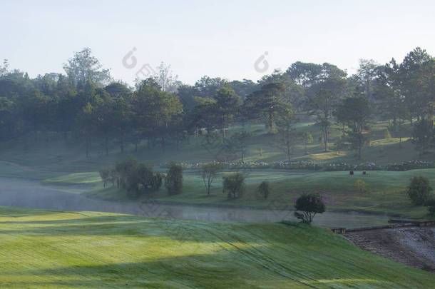 背景与美丽的绿色草地和黄色的阳光, 雾覆盖草山。照片用于高尔夫球场设计理念, 旅游, 广告