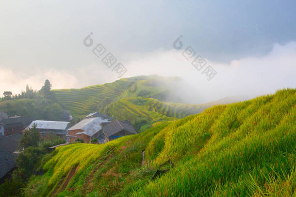 龙胜梯田 (龙骨干) 又称桂林龙梯田, 位于龙胜县, 约100公里 (62 mi), 来自广西桂林, 中国.