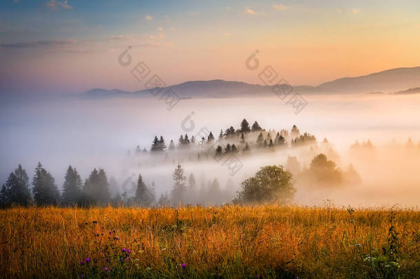 美丽的风景，多雾的皮纳尼山中的山谷、湖泊和河流