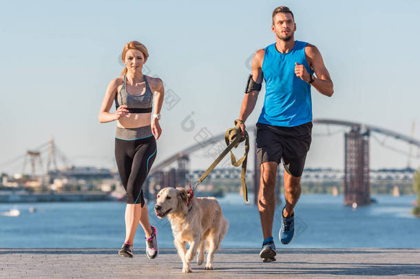 体育对夫妇带着狗慢跑