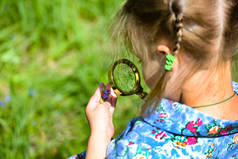 孩子通过放大镜探索草地上的草地。小女孩在户外的放大镜探索花