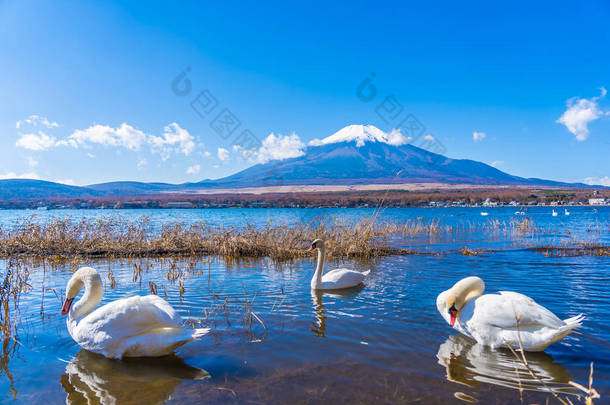 山林的<strong>美丽风景</strong>在山水湖周围