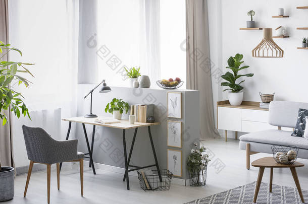 一个明亮的家庭办公室内部与办公桌, 扶手椅和植物的真实照片