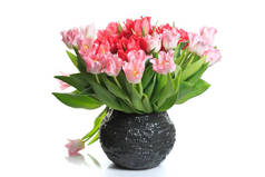 在白色背景上查出的陶瓷花瓶中的粉红色和红色郁金香的节日花束.