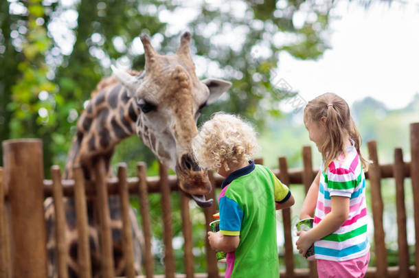 家庭喂养长颈鹿在动物园。在新加坡暑假期间, 儿童在<strong>热带</strong>野生动物园饲养长颈鹿。孩子们看动物。小女孩和男孩给野生动物送水果.
