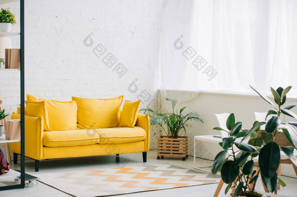 宽敞的客厅，有黄色地板，地板上铺着地毯，花盆有植物